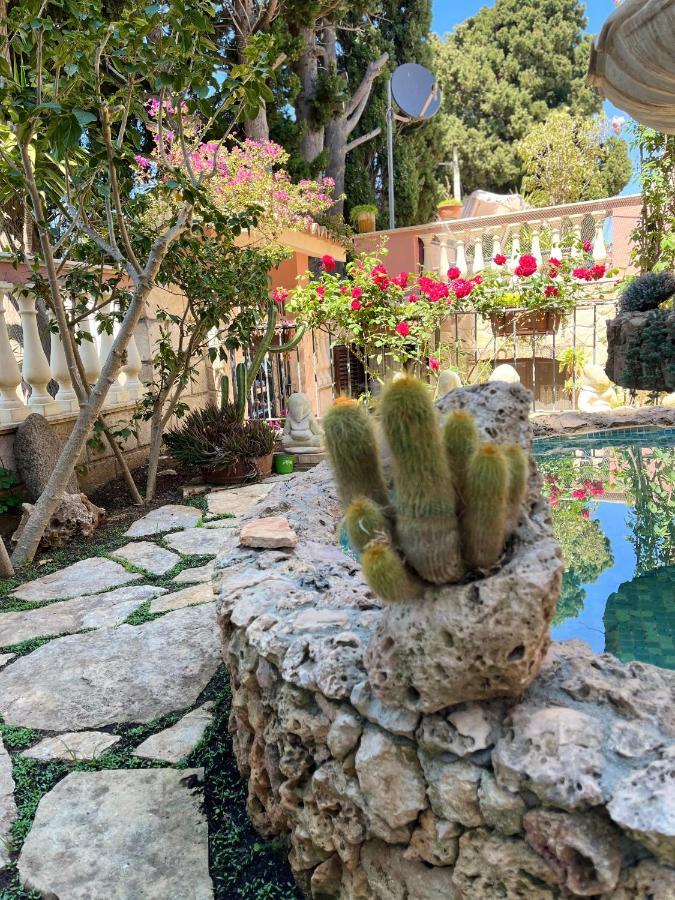 B&B Villa Regina سانتا دومينيكا المظهر الخارجي الصورة
